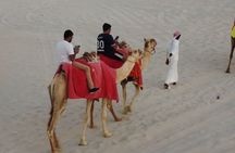 Doha-Private Half Day Safari Camel Ride and Sandboard included