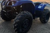 Doha-Private Half Day Safari Camel Ride and Sandboard included