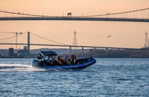 Halifax Harbour Historical & Wildlife High-Speed Tour
