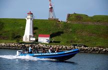 Halifax Harbour Historical & Wildlife High-Speed Tour