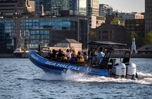 Halifax Harbour Historical & Wildlife High-Speed Tour