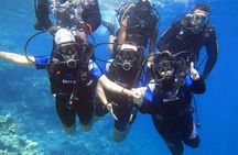 Discover Diving Beginner's Tour with Lunch – Sharm El Sheikh