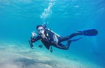 Discover Diving Beginner's Tour with Lunch – Sharm El Sheikh