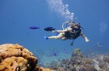 Discover Diving Beginner's Tour with Lunch – Sharm El Sheikh