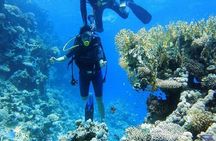 Discover Diving Beginner's Tour with Lunch – Sharm El Sheikh