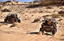 Boa Vista: 2h North Buggy Adventure 1000cc
