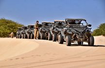 Boa Vista: 2h North Buggy Adventure 1000cc