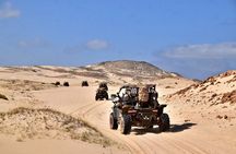 Boa Vista 4h South Buggy Adventure 1000cc