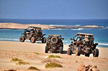 Boa Vista 4h South Buggy Adventure 1000cc