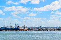Montevideo Highlights: Shared City Tour for Cruise Passengers