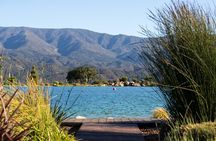 Private Vineyard Tour and Wine Tasting
