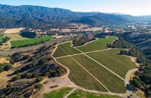 Private Vineyard Tour and Wine Tasting