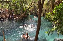 Kikuletwa Chemka Hot Springs Bicycle or Tuk Tuk Day Trip
