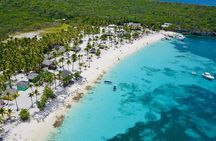  Catalina Island From Punta Cana