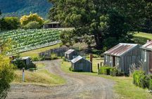 Food & Wine Taste of Southern Tasmania Tour + Cheese Making Class