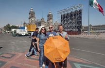 Private Fine Arts Tour and Walking Tour in Historic Center