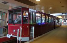 Deluxe Hong Kong City Tour using Mercedes-Benz V-Class Car+ Guide