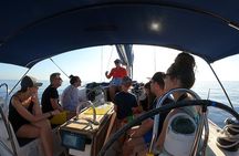 Private Marine Life Spotting - Dolphin watching EcoMarine Malta