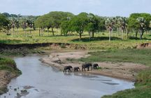 4 Days and 3 Nights Safaris in Murchison Falls National Park Tour