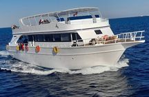 Marsa Mubarak Snorkeling Sea Trip & Transfer & Lunch :Marsa Alam