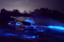 Sunset & Bioluminescent Plankton Kayaking Lan Ha bay 