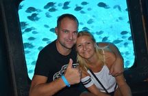 Experience Semi Submarine Voyage with Transfer - Sharm El Sheikh