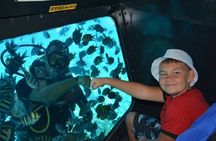 Experience Semi Submarine Voyage with Transfer - Sharm El Sheikh