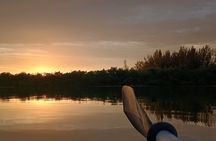 Kayak Tours and Rentals. Dolphins, Manatees, and Bioluminescence!
