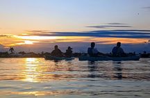 Kayak Tours and Rentals. Dolphins, Manatees, and Bioluminescence!