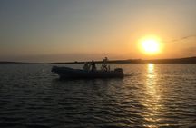 From Stintino: RIB tour in the gulf of Asinara
