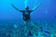 Discover Scuba Diving