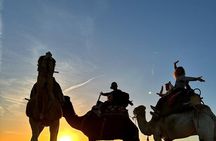 Day Tour on Dromedary and Overnight Stay Near Essaouira Morocco