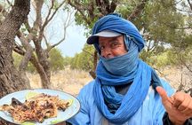 Day Tour on Dromedary and Overnight Stay Near Essaouira Morocco
