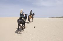 1 Day Horseback Riding Tour with Overnight Stay in Berber Tent