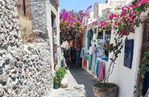 Santorini: Private Sightseeing Tour with Local Guide