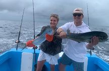 Full Day Sportfishing Charter Inshore or Offshore