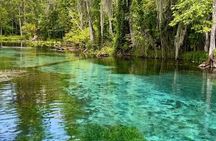 Silver Springs: Clear Kayaking Wildlife Tour