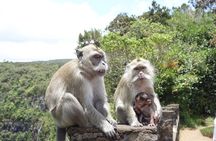 Full day Private South of Mauritius with Lunch for SOLO TRAVELER