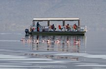 4 Day Lake Nakuru and Maasai Mara Safari Private Tour