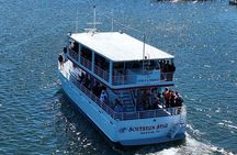 Sunset Dolphin Cruise in Destin