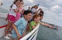 Sunset Dolphin Cruise in Destin