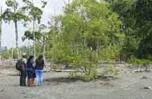  Hike to Elephant beach exploring tropical flora and fauna