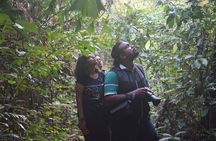  Hike to Elephant beach exploring tropical flora and fauna