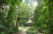  Hike to Elephant beach exploring tropical flora and fauna
