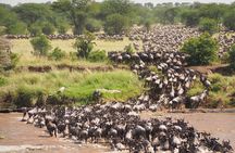 7-Day Amboseli, Lake Naivasha and Masai Mara Safari