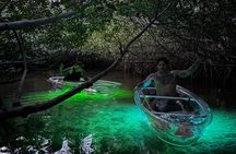 Guided Night Kayak Adventure Tour in Luminous Lagoon