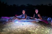 Guided Night Kayak Adventure Tour in Luminous Lagoon