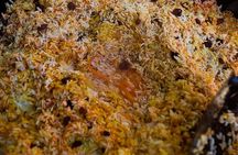 Plov and Samsa Cooking Class in Tashkent