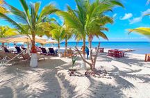 Private Jeep or Buggy Tour Snorkeling Maya Park and Tacos