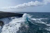Exclusive 4-Hour Private nature Tour: West Curacao's Best